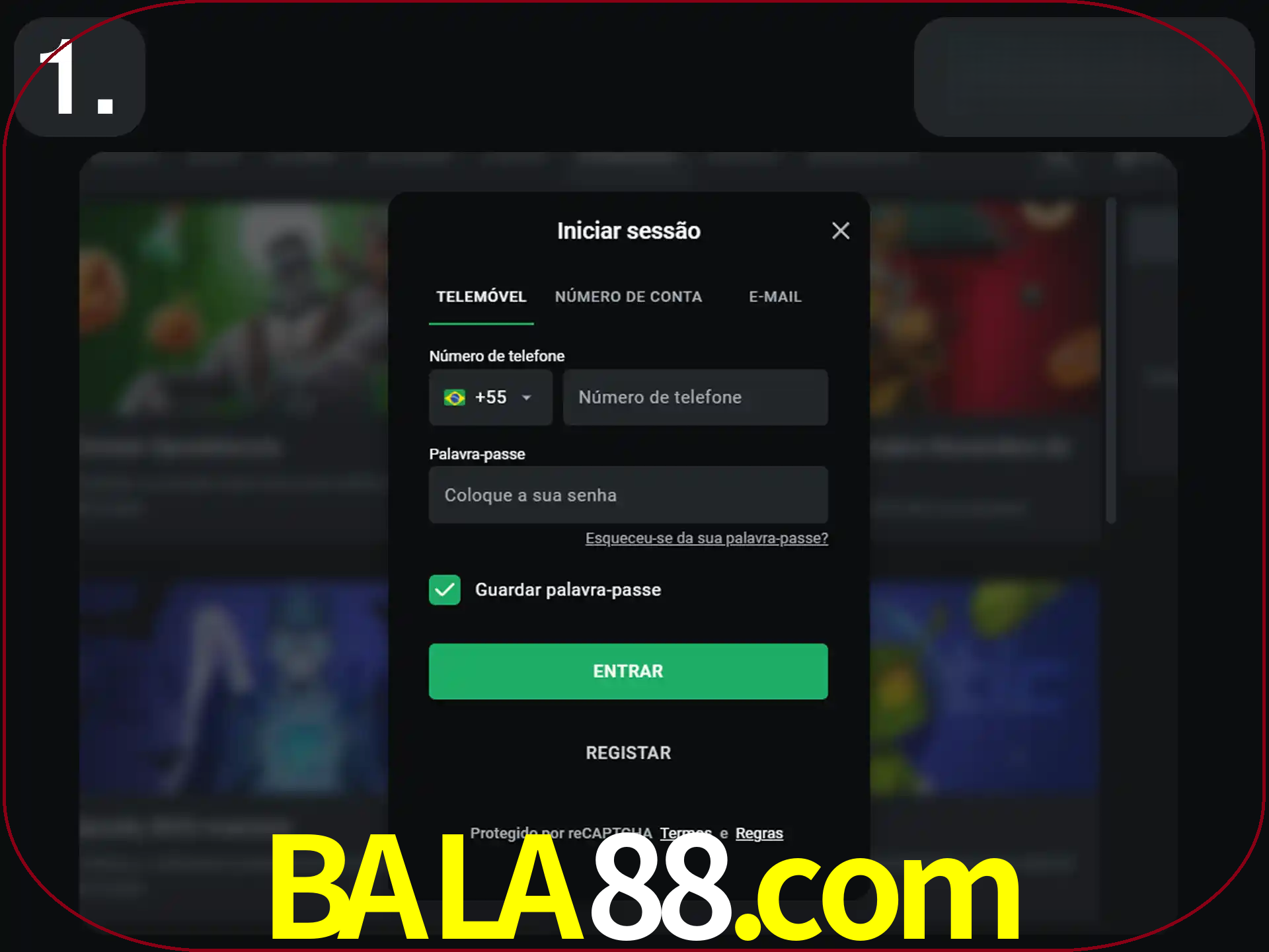 Acesse o site.