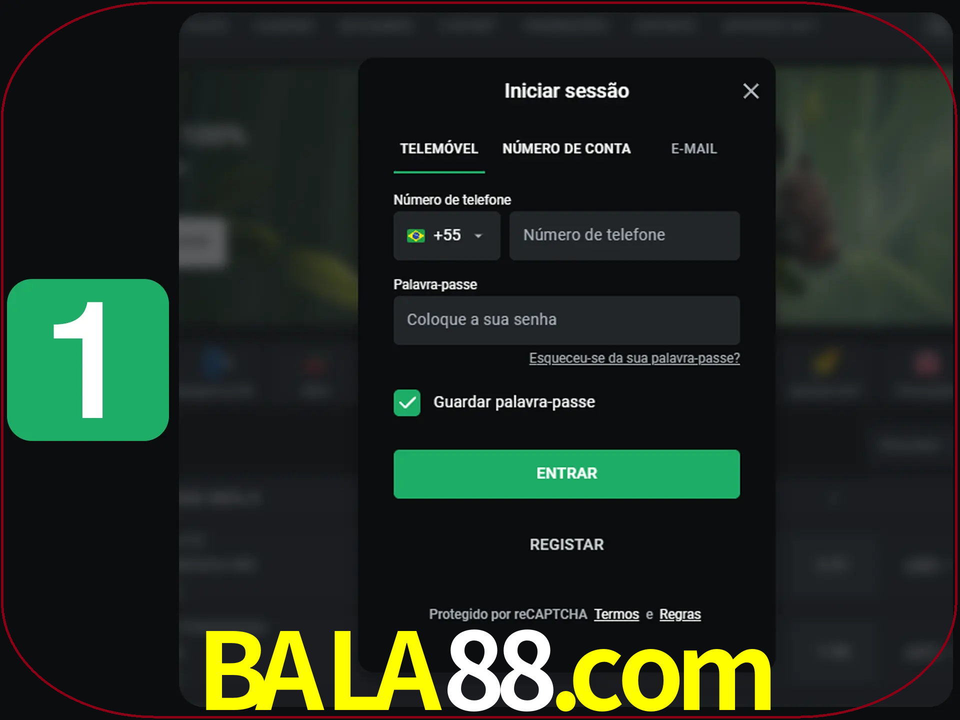 Clique no botão Entrar.